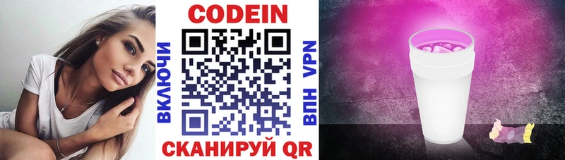 где найти Шенкурск Кодеиновый сироп Lean Purple Drank