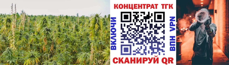 Дистиллят ТГК THC oil  Шенкурск 