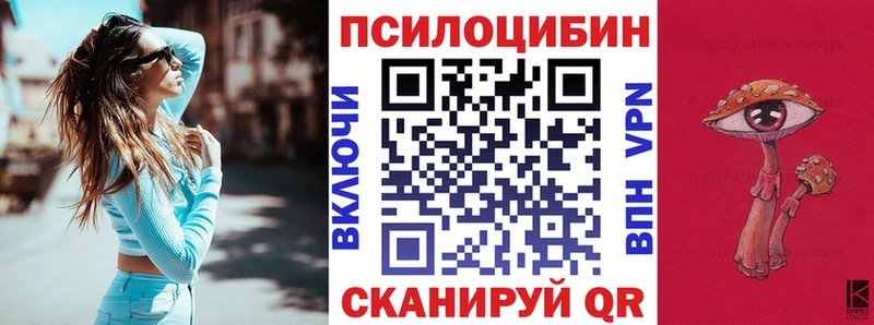 kraken как зайти  наркошоп  Шенкурск  Галлюциногенные грибы прущие грибы 