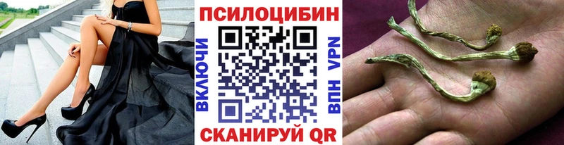 Псилоцибиновые грибы MAGIC MUSHROOMS Шенкурск